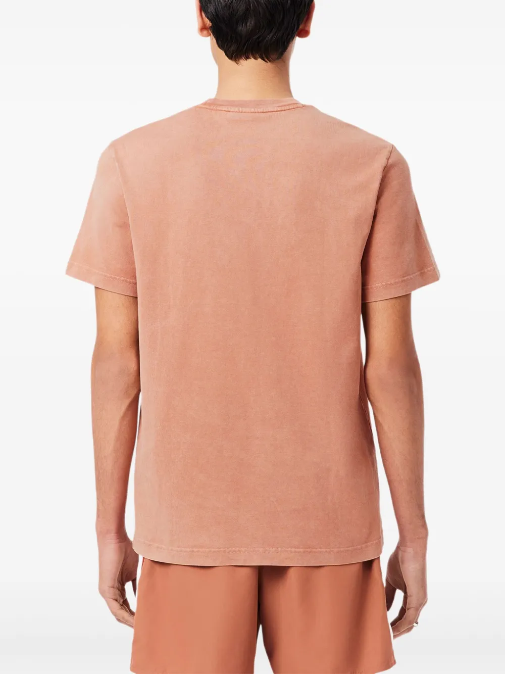 CAMISETA LACOSTE LOGO